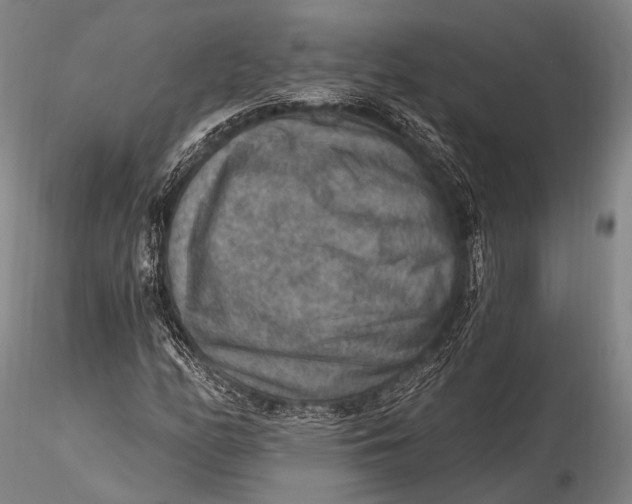 X0000115611158200912011544