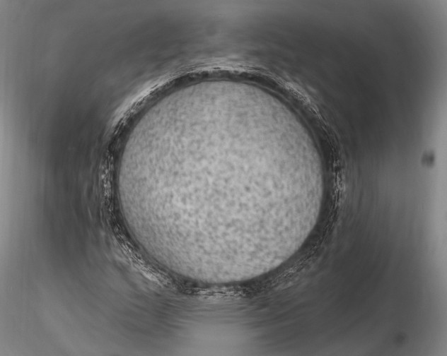 X0000115611159200912011544