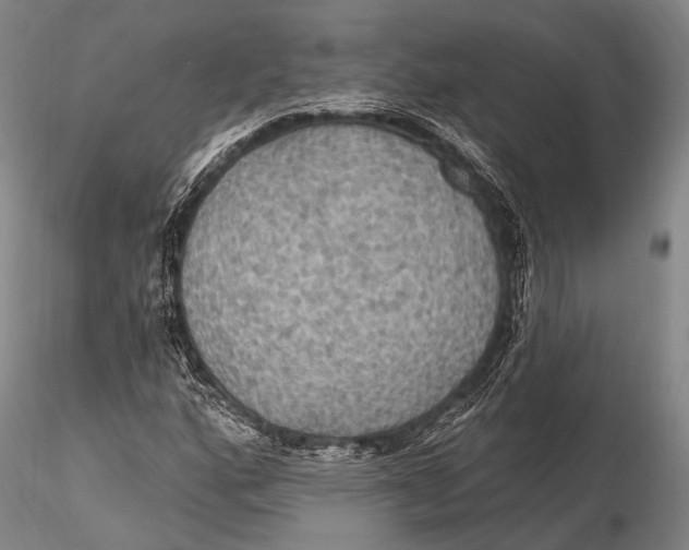 X0000115611160200912011544