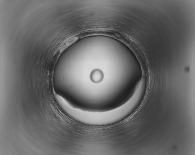X0000115611161200912011544