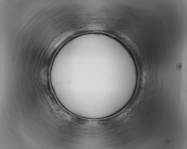 X0000115611162200912011544