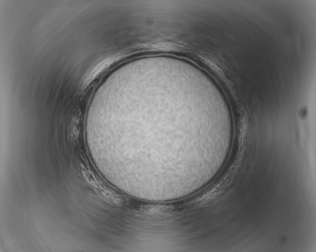 X0000115611163200912011544