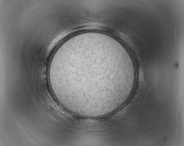 X0000115611164200912011544