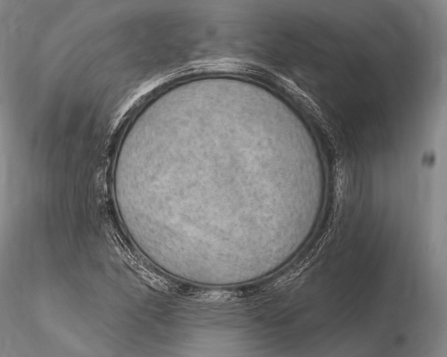 X0000115611166200912011544