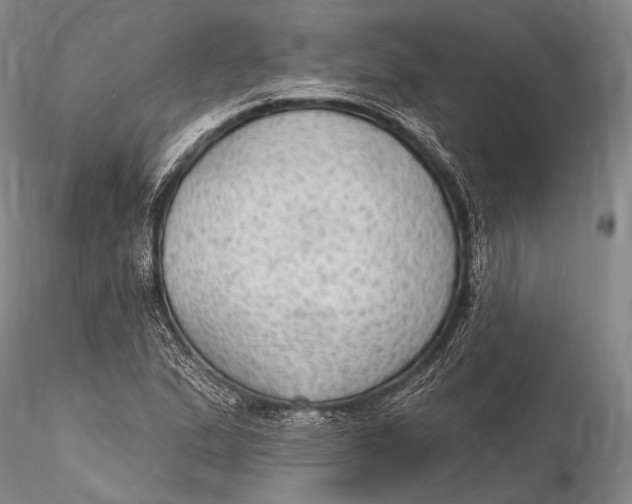 X0000115611167200912011544