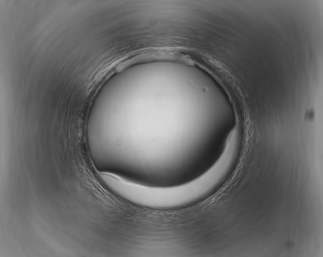 X0000115611169200912011544
