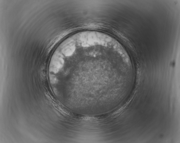 X0000115611170200912011544