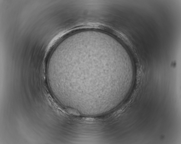 X0000115611172200912011543