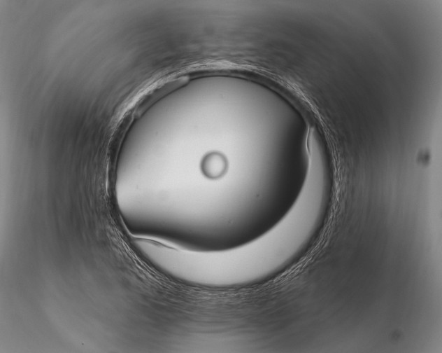 X0000115611173200912011543