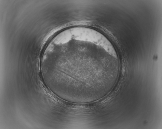 X0000115611174200912011543