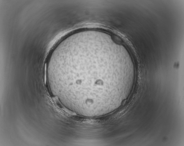 X0000115611175200912011543