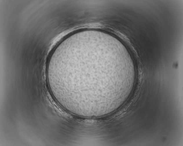 X0000115611176200912011543