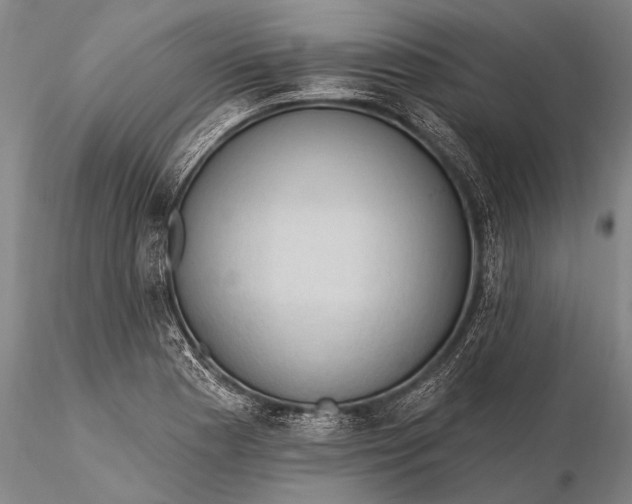 X0000115611177200912011543