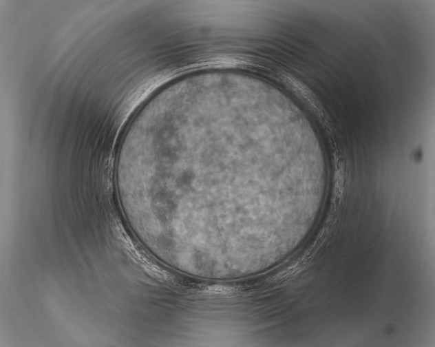 X0000115611178200912011543