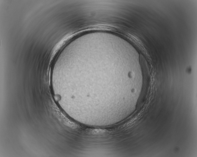 X0000115611180200912011543