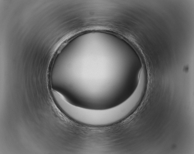X0000115611181200912011543