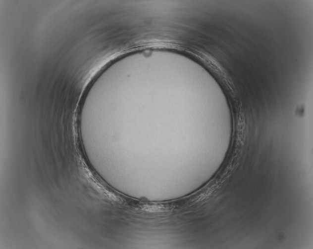 X0000115611182200912011543