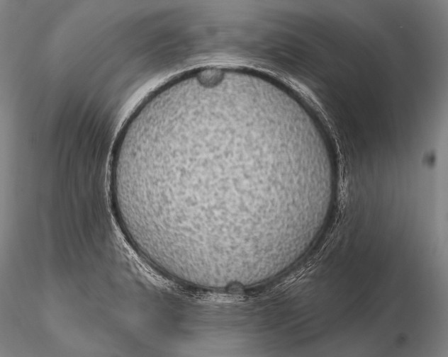 X0000115611183200912011543