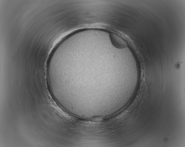 X0000115611184200912011543