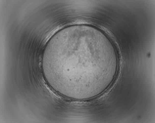 X0000115611185200912011543
