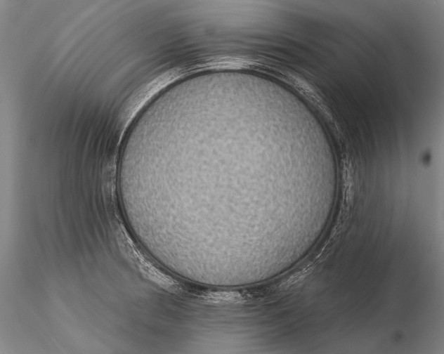 X0000115611186200912011543