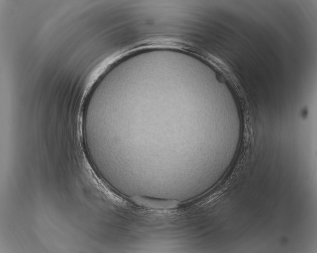 X0000115611188200912011543