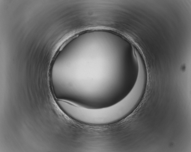 X0000115611189200912011543