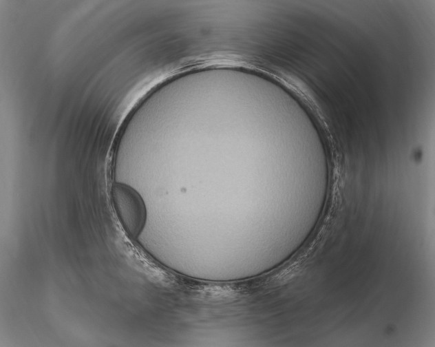 X0000115611190200912011543
