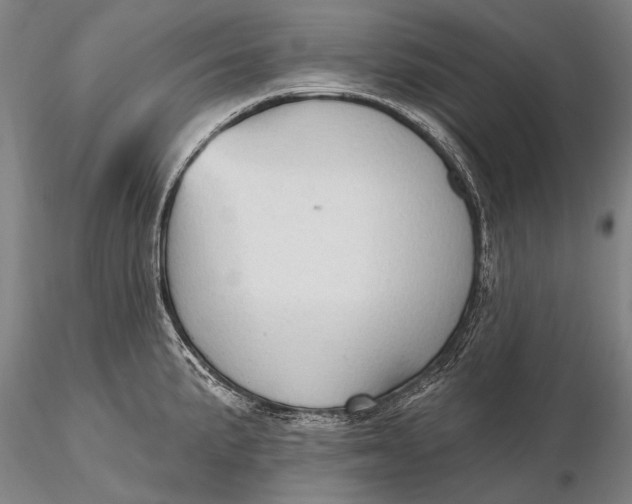 X0000115611191200912011543