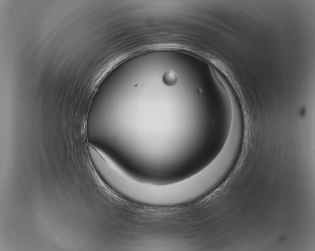 X0000115611193200912011543
