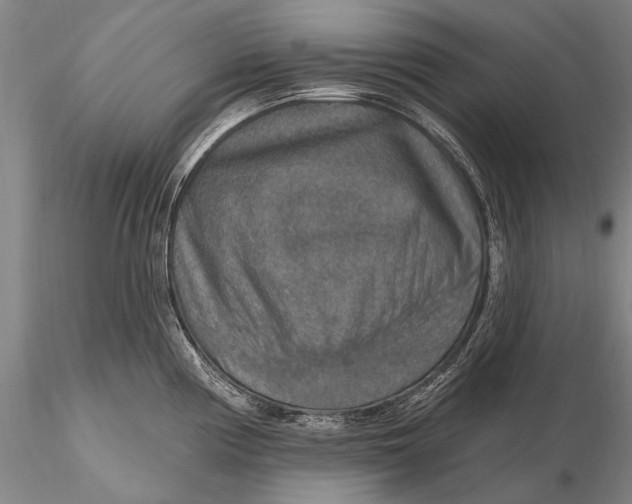X0000115611194200912011543