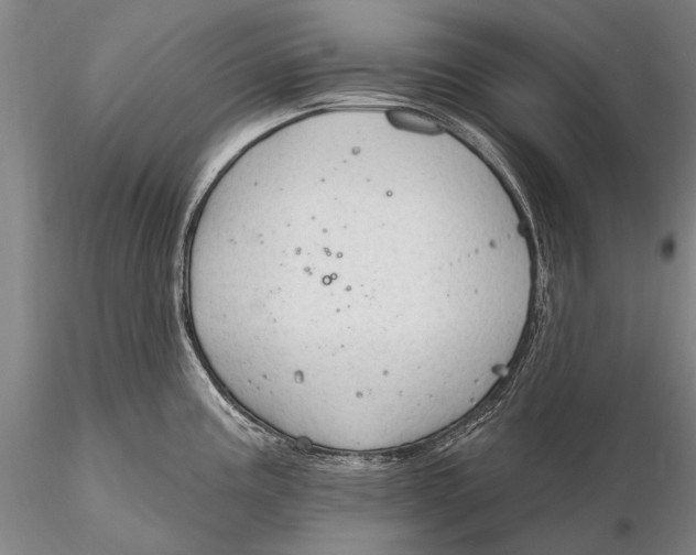 X0000115611195200912011543