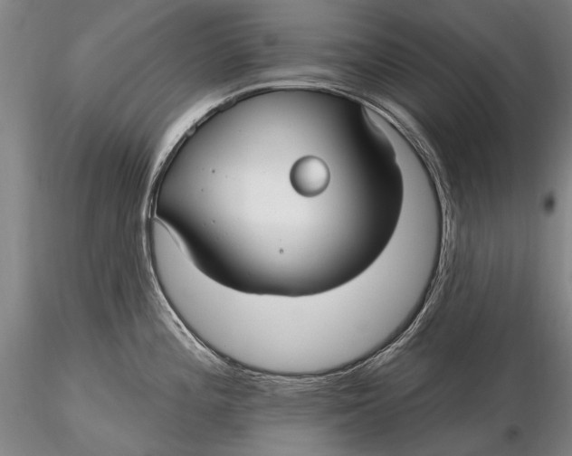X0000115611196200912011543