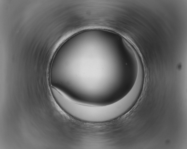 X0000115611197200912011543