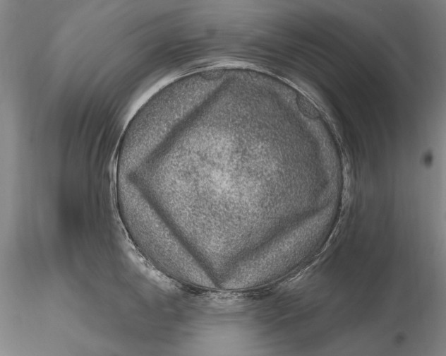 X0000115611198200912011543