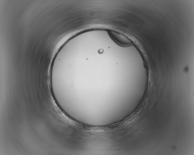X0000115611199200912011543