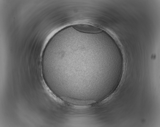 X0000115611200200912011543