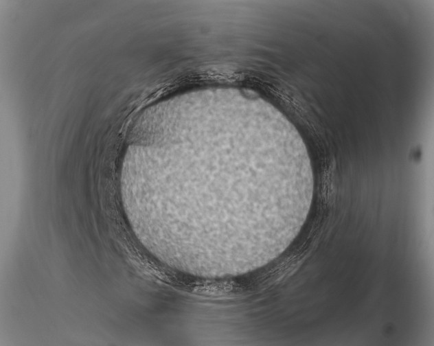 X0000115611201200912011542