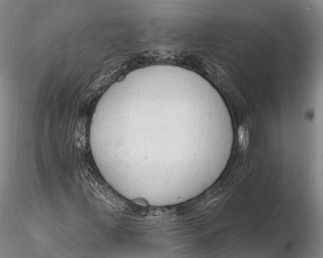 X0000115611203200912011542