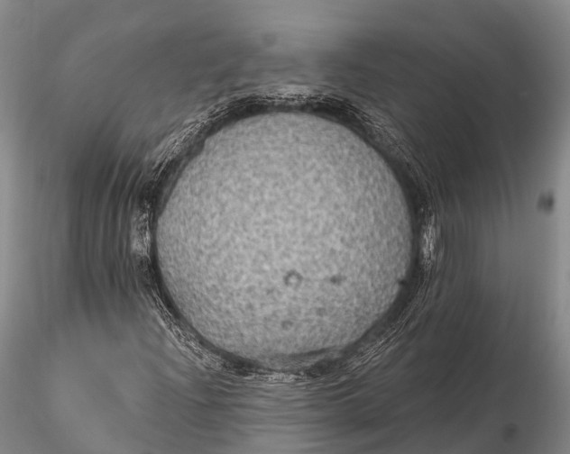 X0000115611204200912011542