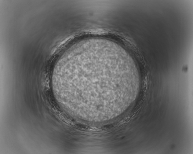 X0000115611205200912011542