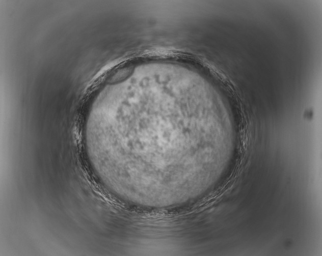 X0000115611206200912011542