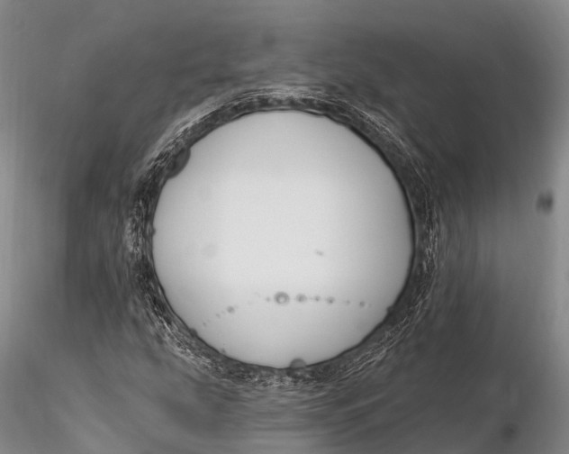 X0000115611207200912011542