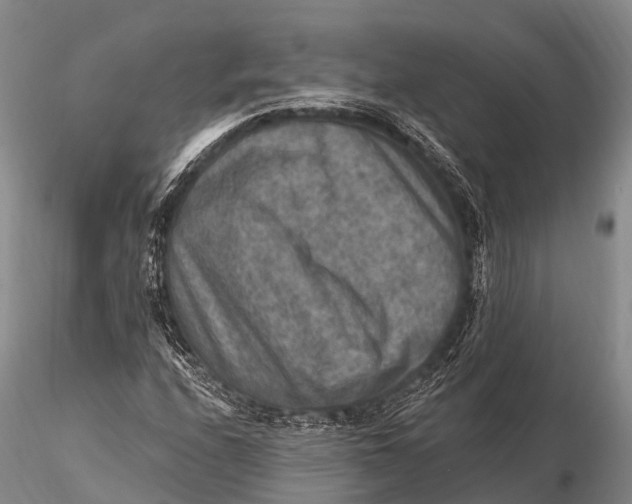 X0000115611208200912011542