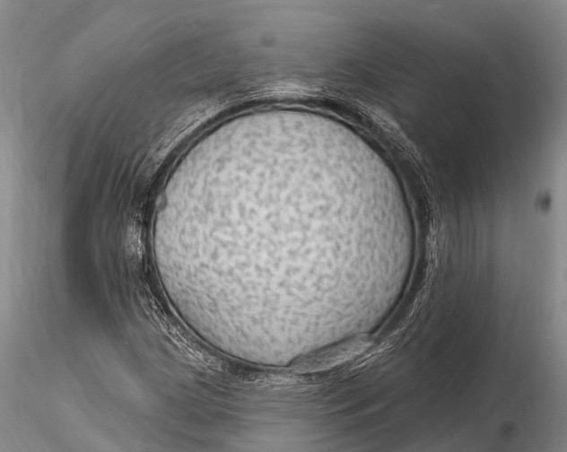 X0000115611209200912011542