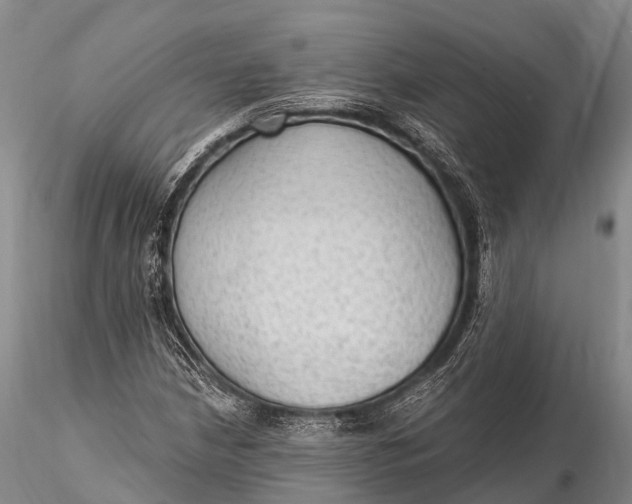 X0000115611210200912011542
