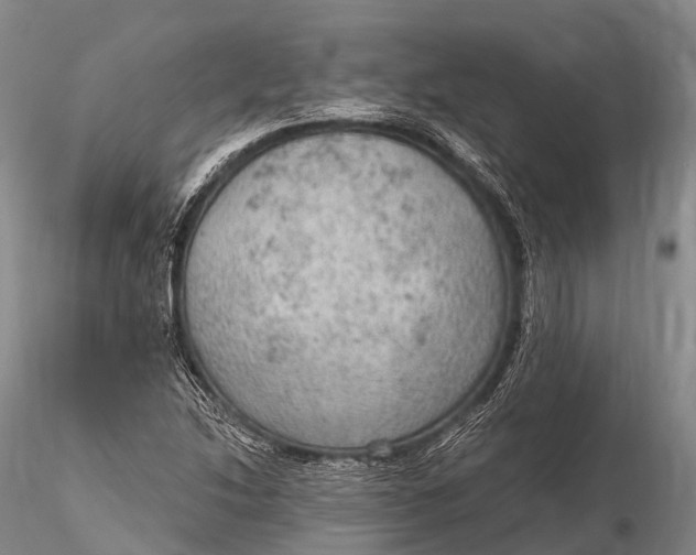 X0000115611214200912011542