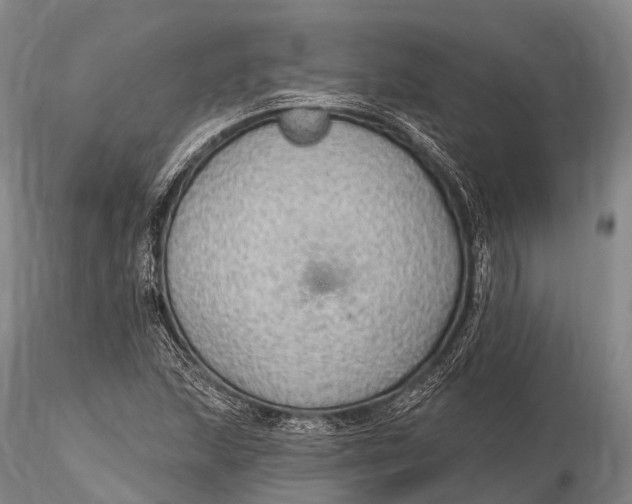 X0000115611215200912011542