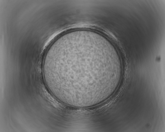 X0000115611216200912011542