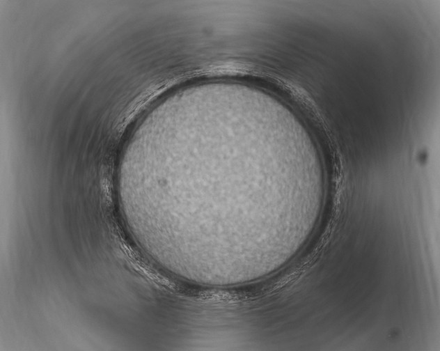 X0000115611217200912011542